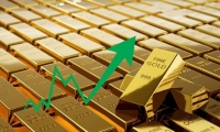 去年数字经济核心产业增加值占国内生产总值比重达10%左右