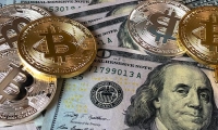 恒星科技：接受厦门枫桥林私募基金等机构调研